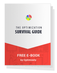 The Optimization Survival Guide